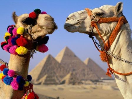 Туристу на заметку Египет