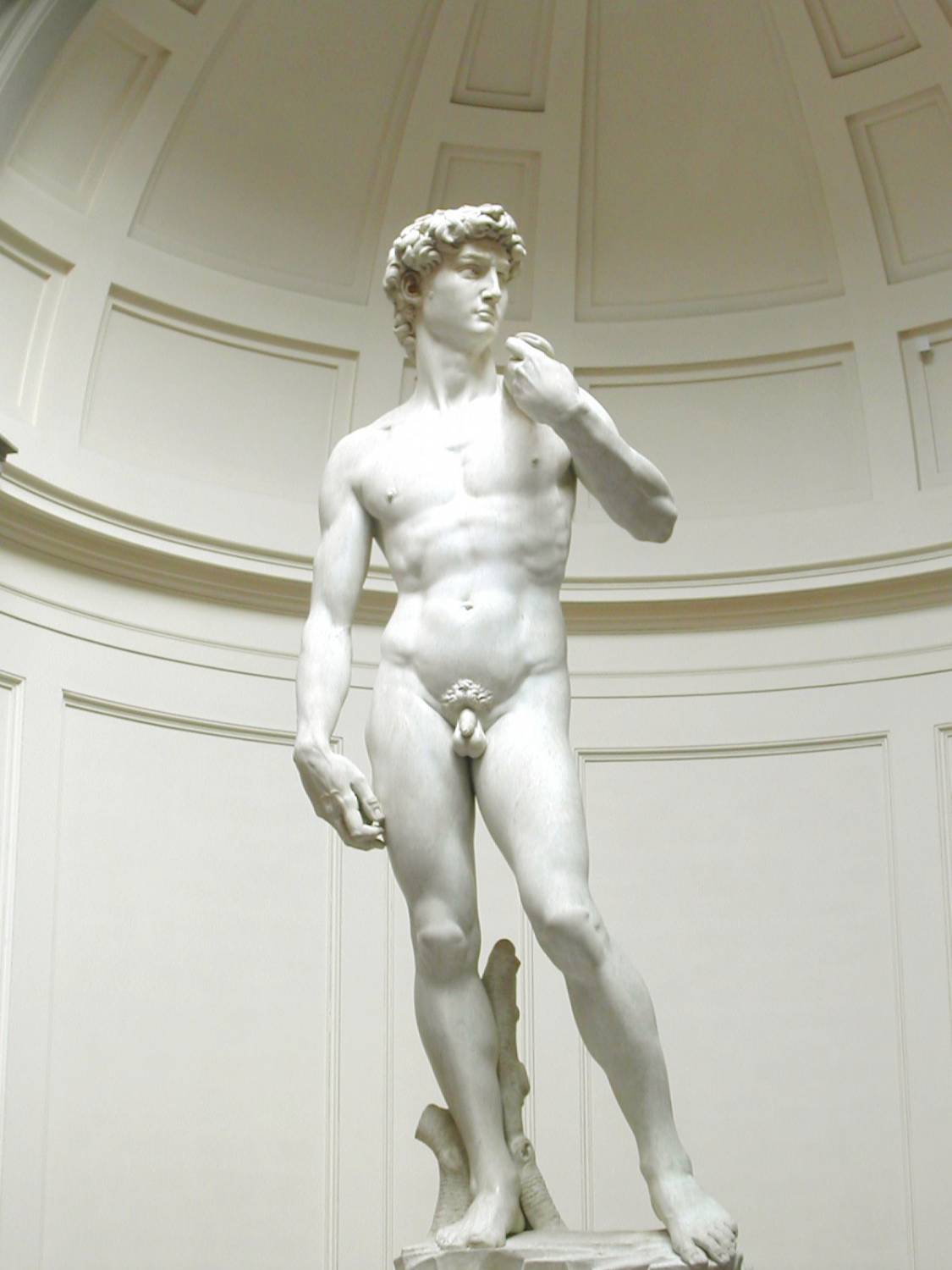 Статуя Давида, Микеланджело