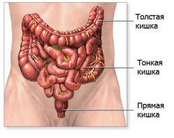 лишние органы в организме человека